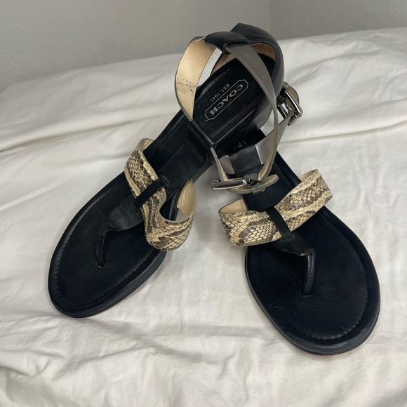 Coach | Black and snake print sandals - Picture 1 of 6